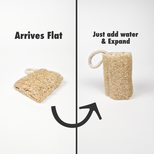 4-Piece Family Shower Set | Unbleached Natural Body Loofahs