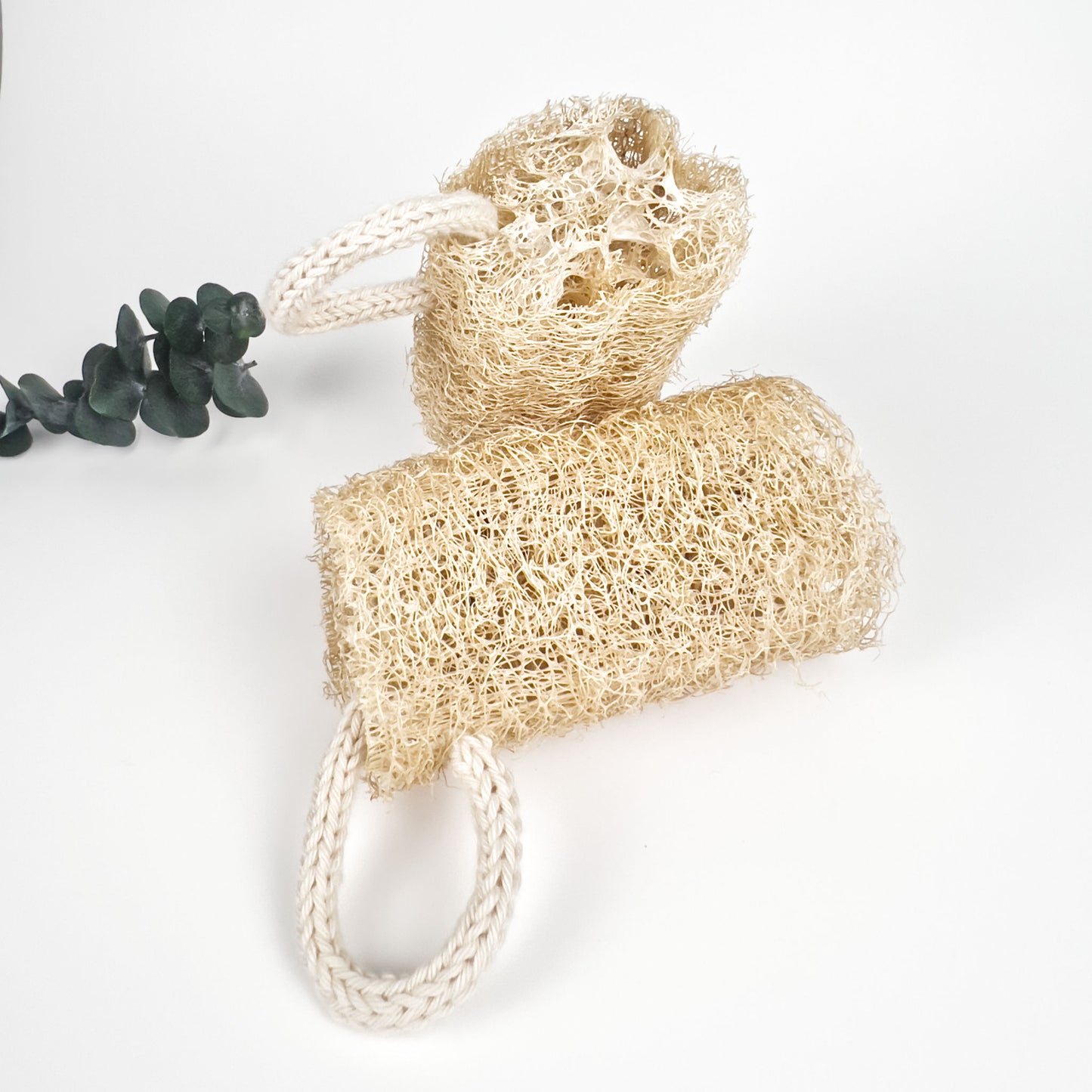 Large Exfoliating Duo | Unbleached Natural Loofahs
